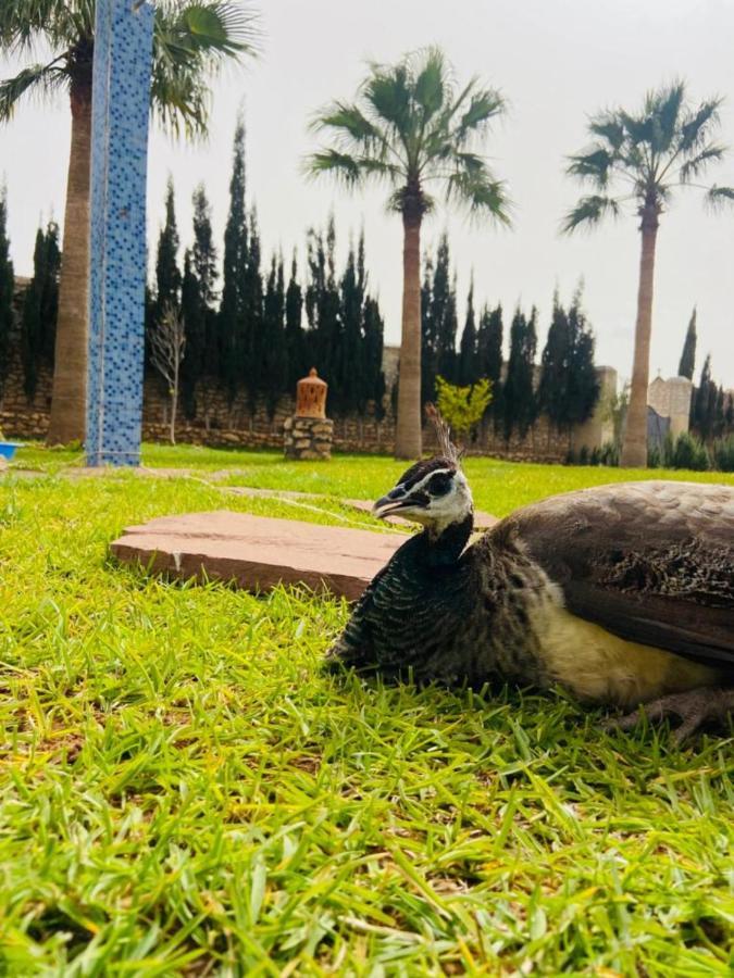 Dar Aymane Otel Suvayr Dış mekan fotoğraf